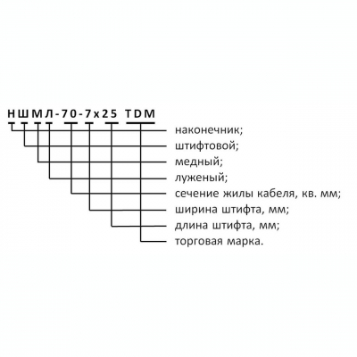 303075-2.jpg